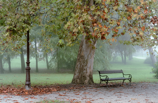 Koprivnica Autumn Croatia, Podravina Park Romantic